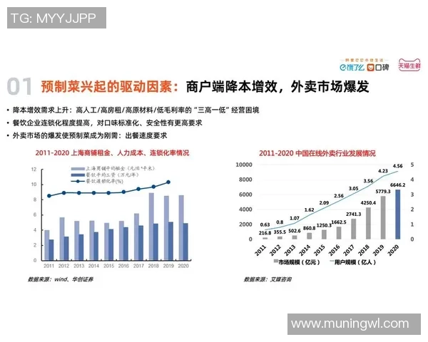 全面解析红桃国际平台的功能特点与用户体验 全面解析红桃国际平台的功能特点与用户体验