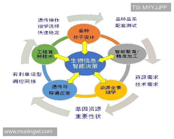 聚焦娱乐实验平台建设探索创新与发展新路径 聚焦娱乐实验平台建设探索创新与发展新路径