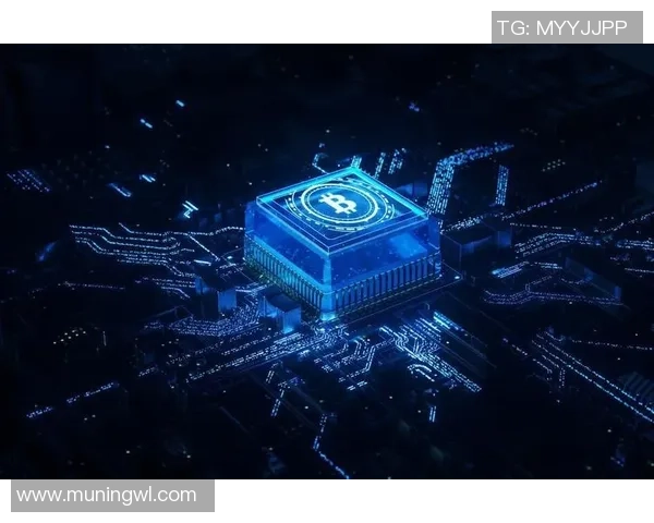 探索豪门国际量子计算平台的未来发展与应用前景分析