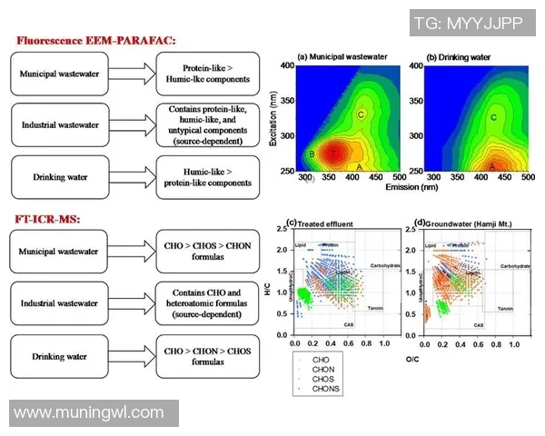 探索红桃国际群体智能算法在复杂问题解决中的应用与前景分析