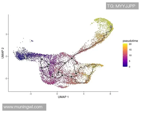 熊猫体育运动轨迹预测模型的构建与应用研究分析 熊猫体育运动轨迹预测模型的构建与应用研究分析