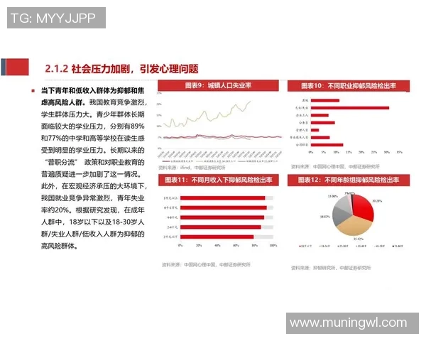 探索沐鸣2零知识证明系统的应用与未来发展潜力