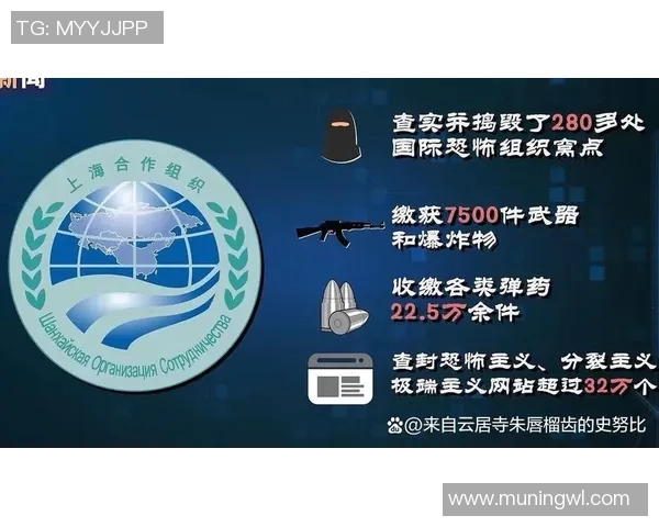 全球协作应对非法运营商挑战维护司法管辖区一致性的重要性 全球协作应对非法运营商挑战维护司法管辖区一致性的重要性